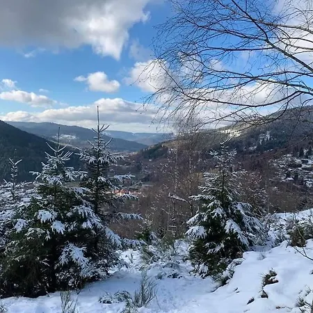 Le Bouquetin Sauna & Vue Sur La Montagne - 13 Personnes Horská chata Ventron