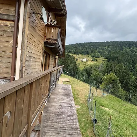 Alpehytte Le Bouquetin Sauna & Vue Sur La Montagne - 13 Personnes