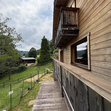 Le Bouquetin Sauna & Vue Sur La Montagne - 13 Personnes * Ventron